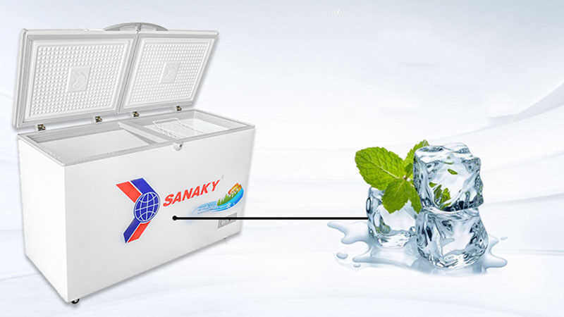 Tủ đ&ocirc;ng h&atilde;ng Sanaky v&iacute; dụ